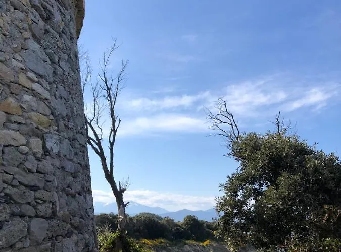 Mare E Monti Aleria (Corsica)